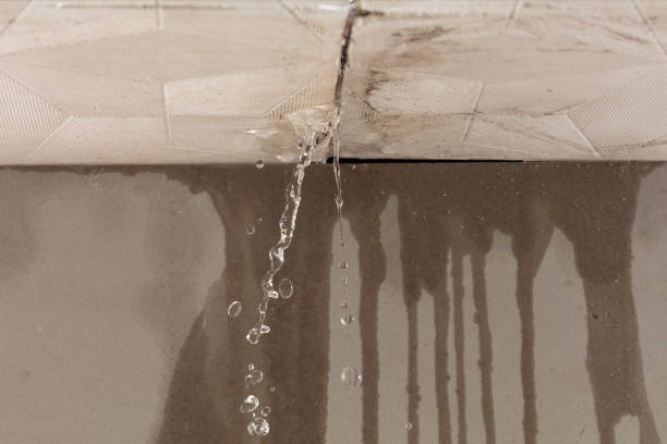 Professional Sewage Cleanup technician working in Amissville, VA